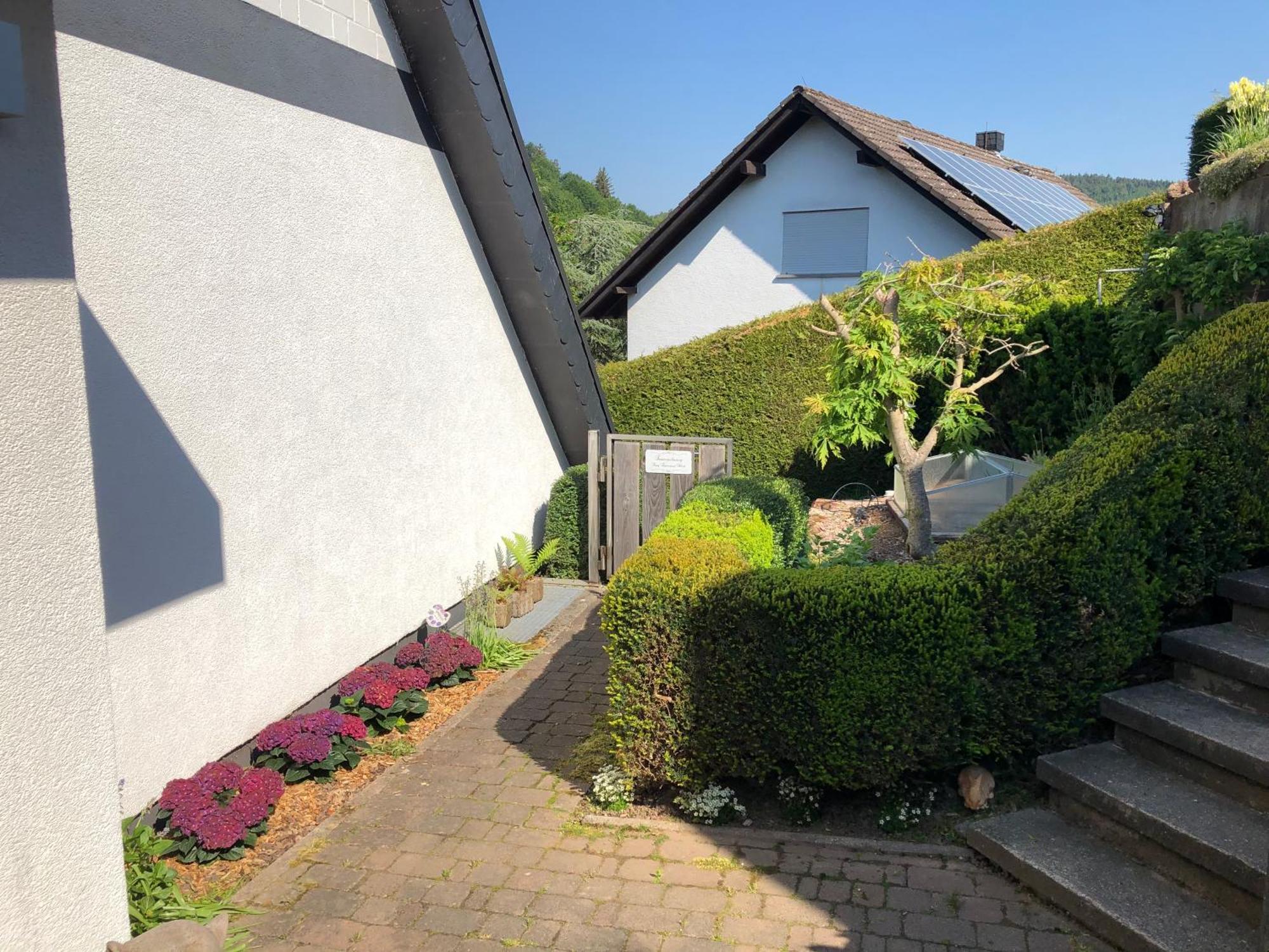 Burg Freienstein Blick 4 Sterne Mit Sauna Gammelsbach Buitenkant foto